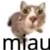 ydxu_0