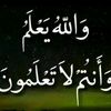 endris.seid772