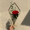 nour_gamal55555