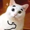 comsuonratngon