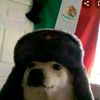 imperiomexicano76526_.2
