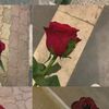 user914211782