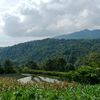 torusan_1234