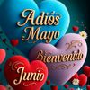 user8437506165824