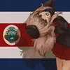 animatorcb07