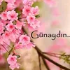 bayramoff__97