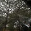 paan14h