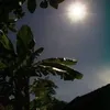 userood41509bj