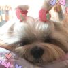 smileyboo0804