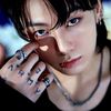 kooxyard.1