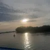 cutii_oi68