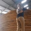 ayuwandira29653