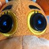 ifollowback.in2min2