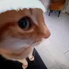._.lukchn