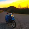germanedits24