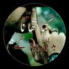 faizan.5637