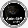 aninditacatscattery