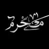 mesd_12