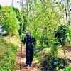 riris_2603