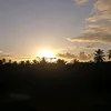 juliana.silva3524
