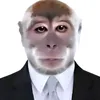 pedrin100freio