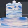 skys_._the_._limit