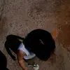 ibukkareem