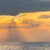 annguyen06_