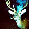 userif4d19u8by