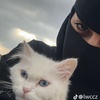 sharifa_410