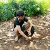 _minhnhat20t