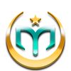 mujahidin958