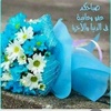 nawalkassir