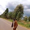 aggreymaruwa