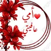 user4733043263534