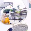 ni_raraaa