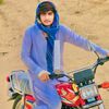 salman_gull