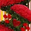 user4574513090183