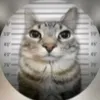 userm3vv6lpcwd