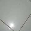 edisasongko305