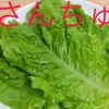 usern63o8ag5gz