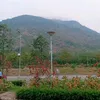 quynhnhu4653