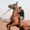 shahenjaf5