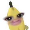 silaaa206