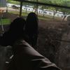 mr_a271