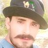 ali_sher_berani