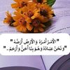nenaosman1