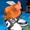 chicken_man6969