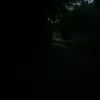 ramzspinback07