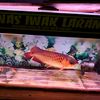 anjarelhek